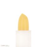 بالم لب نادیا مدل MANGO SHINE