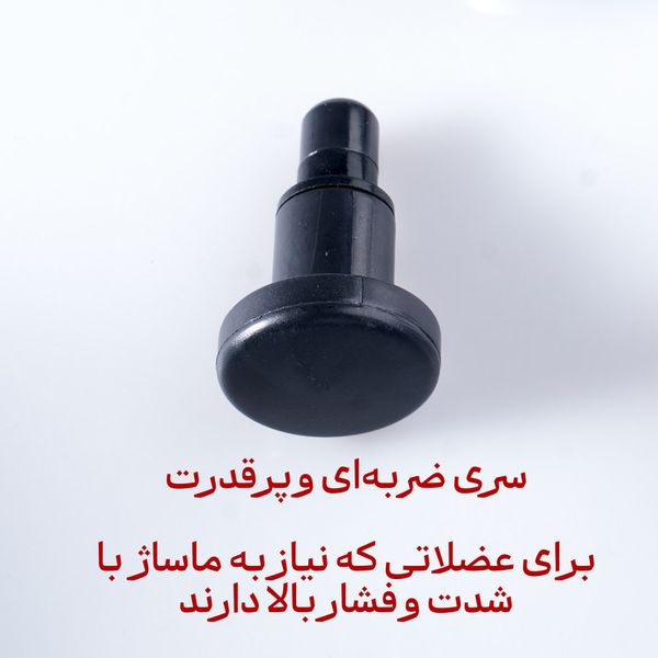 ماساژور برقی لایچی