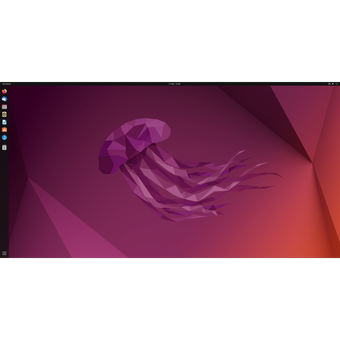 Ubuntu 24.04