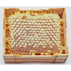 عسل ارگانیک سبلان(کاملا طبیعی)