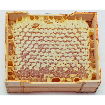 عسل ارگانیک سبلان(کاملا طبیعی)