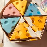 پاکن فانتزی پنیری