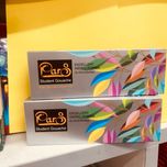 گواش پارس 12 رنگ