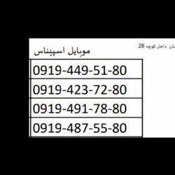 0919 انتخابی جذاب رند