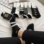 جوراب تدی مچی