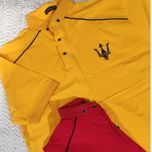 تیشرت شیک مردانه یقه دار