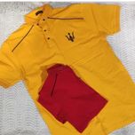 تیشرت شیک مردانه یقه دار