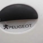 برچسب ژله ای و محافظ زیر دستگیره 206 و 207