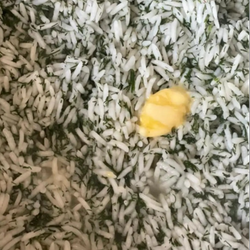 برنج هاشمی اعیانی سه بار الک