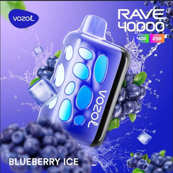 VOZOL  40000 RAVE