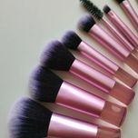 ست براش ده عددی شین