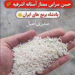 برنج حسن سرا آستانه اشرفیه | محصول تازه گیلان | 20 کیلوگرم