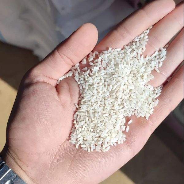 سرلاشه دمسیاه فوق ممتاز(10 کیلویی)