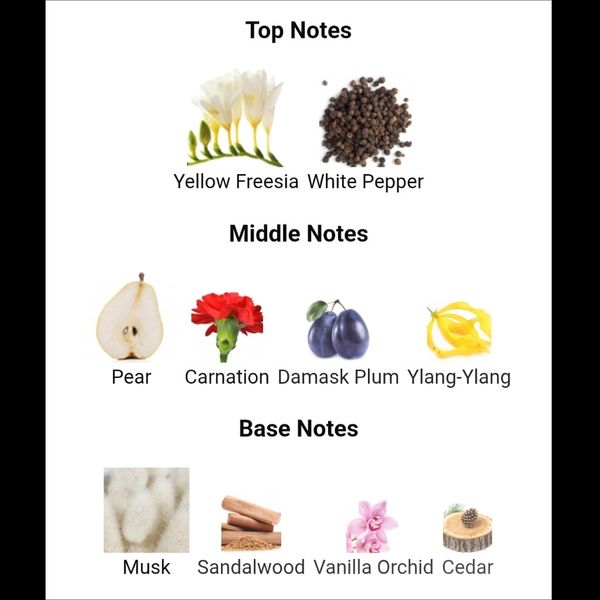 عطر زنانه percieve آوون - رایحه گلی و میوه ای