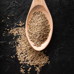 تخم گشنیز (100 گرم)