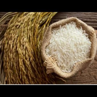 برنج فجر 5 کیلویی