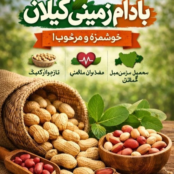 بادام زمینی