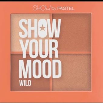 پالت رژ گونه چهار رنگ برند PASTEL مدل WILD