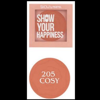 رژگونه پودری برند PASTEL مدل HAPPINESS شماره 205