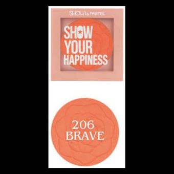 رژگونه پودری برند PASTEL مدل HAPPINES شماره 206