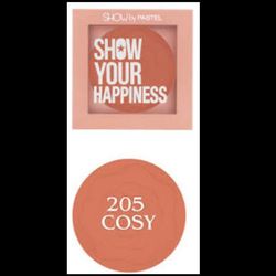 رژگونه پودری برند PASTEL مدلHAPPINES شماره 205