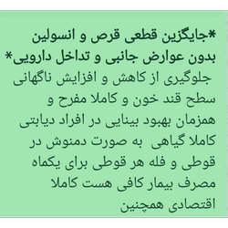 فعالیت های سلامت کده ریحان