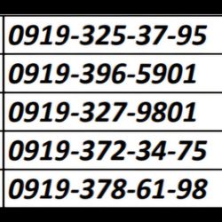 خرید خط 0919 ویژه . شماره همراه اول 850 هزاری موبایل اسپیناس