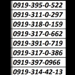 خط 0919 طلایی رند انتخابی