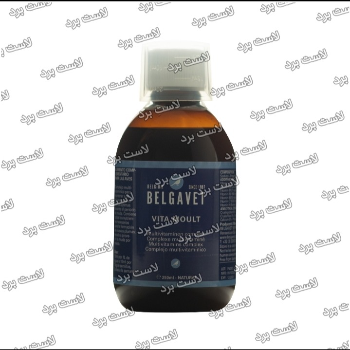 VITA MOULT بلگاوت بلژیک | مولتی ویتامین پرندگان | ویتامین کبوتری