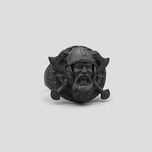 انگشتر مدل SK-Fsi449