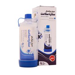 دمیار بزرگسال