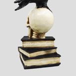 مجسمه مدل کلاغ و جمجمه و کتاب