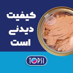 کنسرو تون ماهی قزل در روغن آفتابگردان تاپسی - 240 گرم بسته 12 عددی