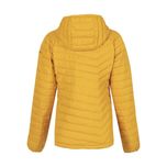 کاپشن ورزشی زنانه کلمبیا مدل WK1499 POWDER LITE 1699071*618