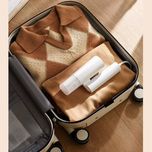 اتو بخار ایستاده