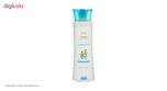 شامپو ضد شوره سینره مدل Anti Dandruff Willow حجم 250 میلی لیتر