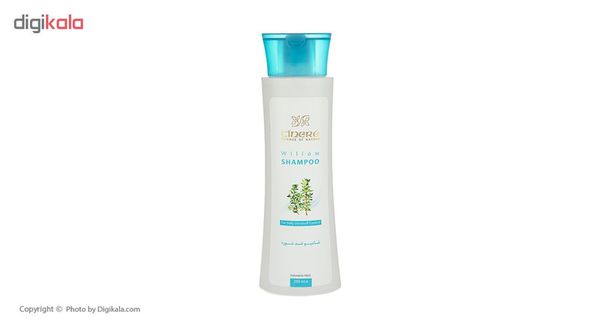 شامپو ضد شوره سینره مدل Anti Dandruff Willow حجم 250 میلی لیتر