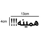برچسب بدنه خودرو طرح همینه کد 135AZ 17
