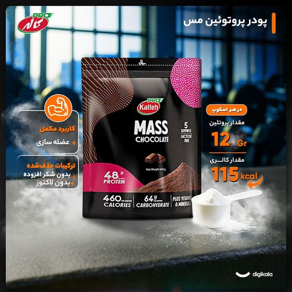 پودر مس گینر شکلاتی کاله‌پرو 650 گرم
