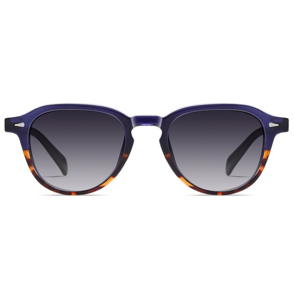 عینک آفتابی آلبرت وگ مدل S31101C3 Acetate Avantgarde Visionary