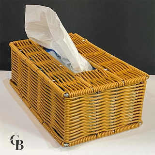 جای دستمال کاغذی