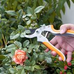 قیچی باغبانی اینکو مدل HPS-0308