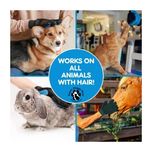 پرزگیر حیوانات مدل دستکش