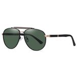 عینک آفتابی مردانه آلبرت وگ مدل 6315C84-P50 Polarized Avantgarde Visionary