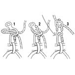 ابزار حمایت و فرود پتزل مدل HUIT Figure 8 descender F2023