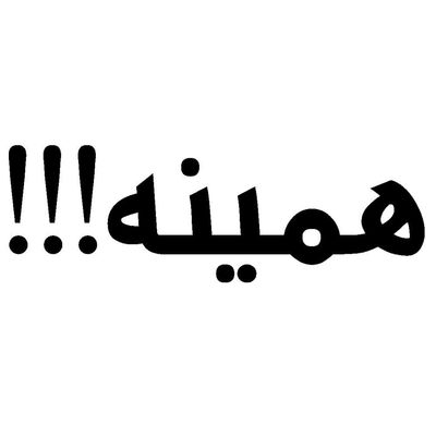 برچسب بدنه خودرو طرح همینه کد 135AZ 17*856
