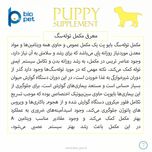 مکمل توله سگ بایو پت مدل Puppy وزن 400 گرم