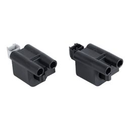 کوئل کروز پلاس مدل زیمنس مناسب برای 405 بسته دو عددی