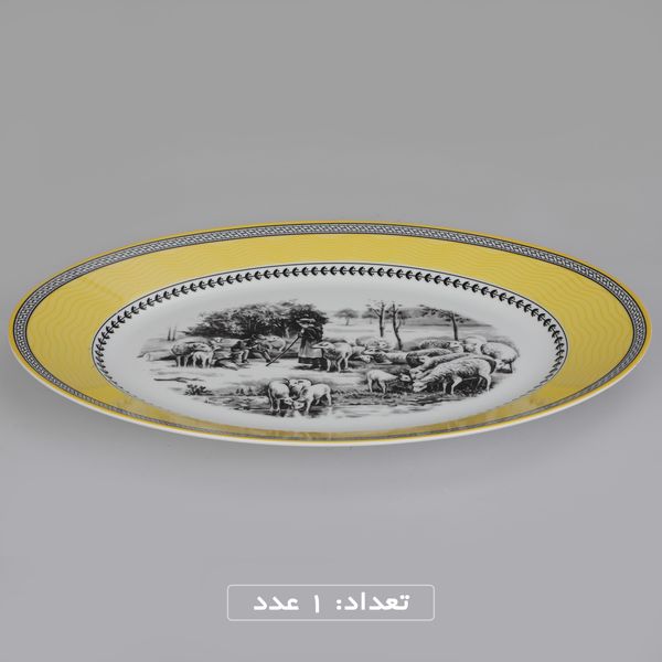 سرویس چینی 102 پارچه غذا خوری چینی زرین ایران سری ایتالیا اف مدل ویلیج درجه یک