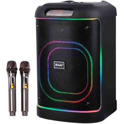 اسپیکر بلوتوثی برودو BTS-2105 + میکروفون